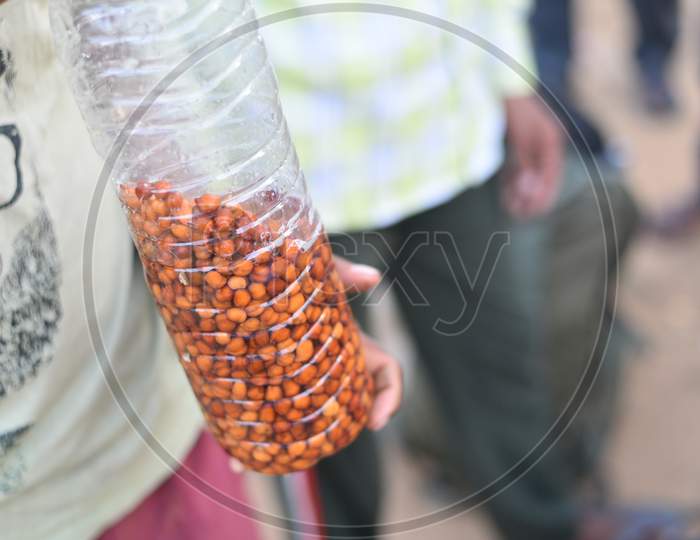 Migrants eat Black Chick Peas or Black gram as they are short of money to buy food