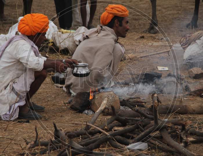 Camel Traders Cooking At Pushkar Camel Fair, Pushkar