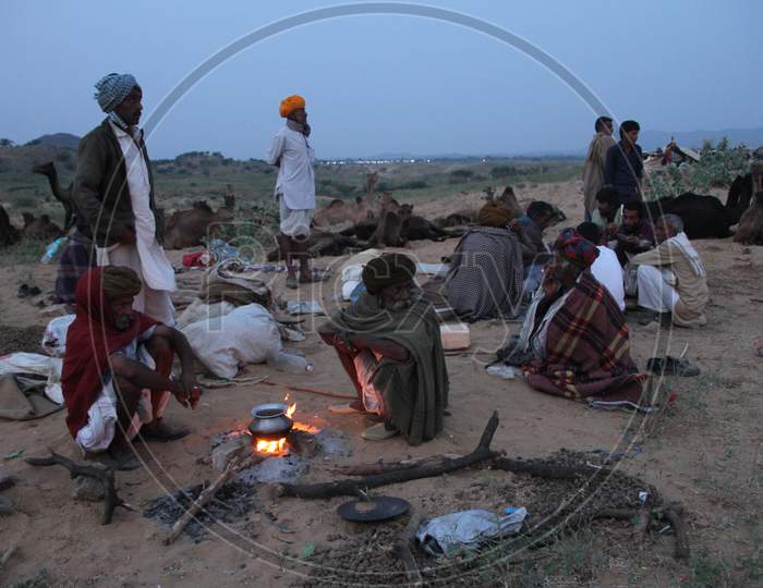 Camel Traders Cooking Food As a Group In Pushkar Camel Fair, Pushkar