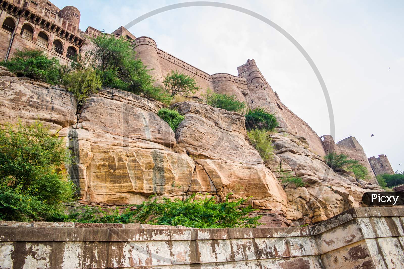 Mehrangarh or Mehran Fort, located in Jodhpur, Rajasthan, is one of the largest forts in India.