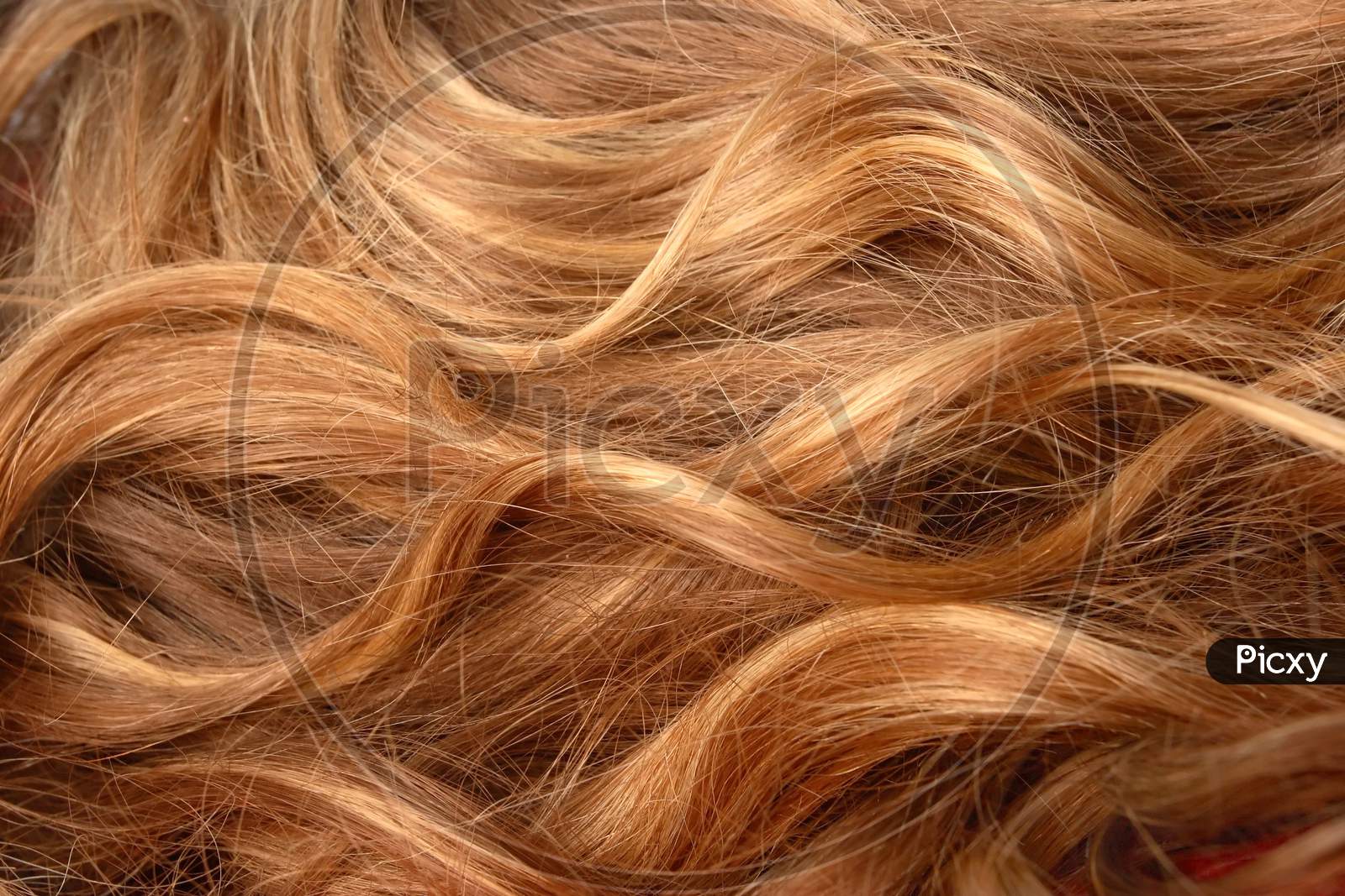 Brown Shiny Long Hair of woman / girl