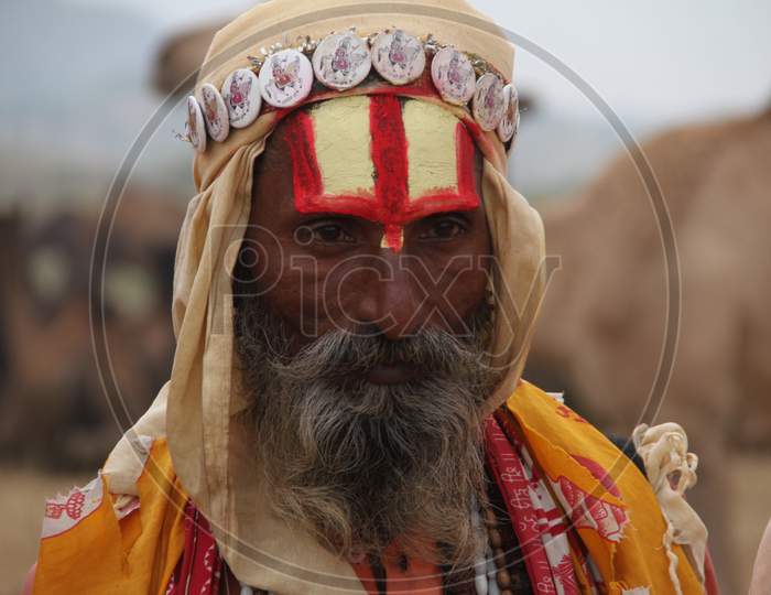 Indian Hindu Baba or Sadhu At Pushkar Camel Fair, Pushkar