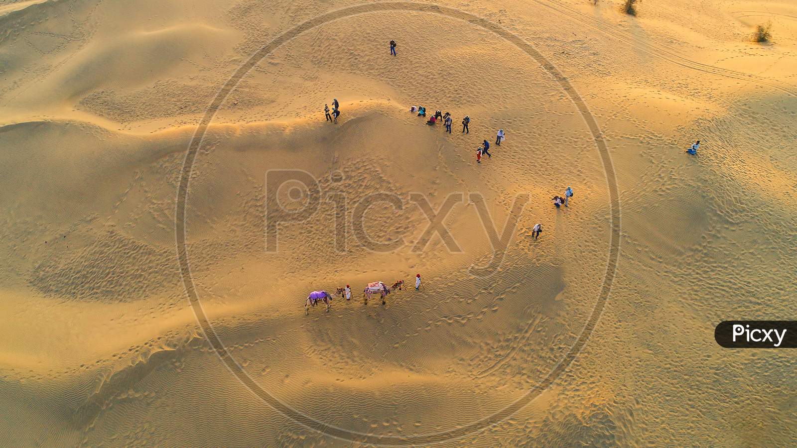 Aerial View Of Jaisalmer Sam Sand Dunes, Tourist Clicking Pictures, Camel, Rajasthan, India, Tourism, Top View Background - Image