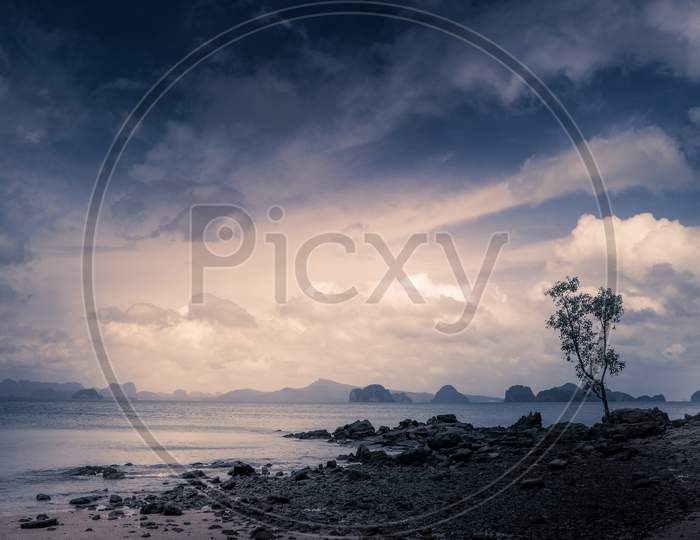Beautiful Seascape, Koh Yao Noi Island Single Tree Standing By The Beach, Phuket, Thailand
