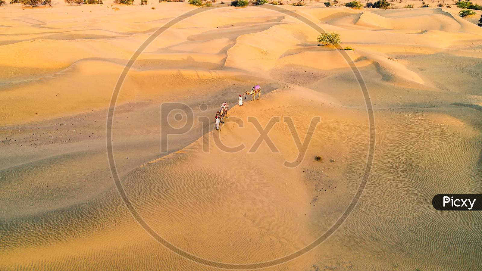 Aerial View Of Jaisalmer Sam Sand Dunes, Man Walking With Camel, Rajasthan, India, Tourism, Summer, Background - Image