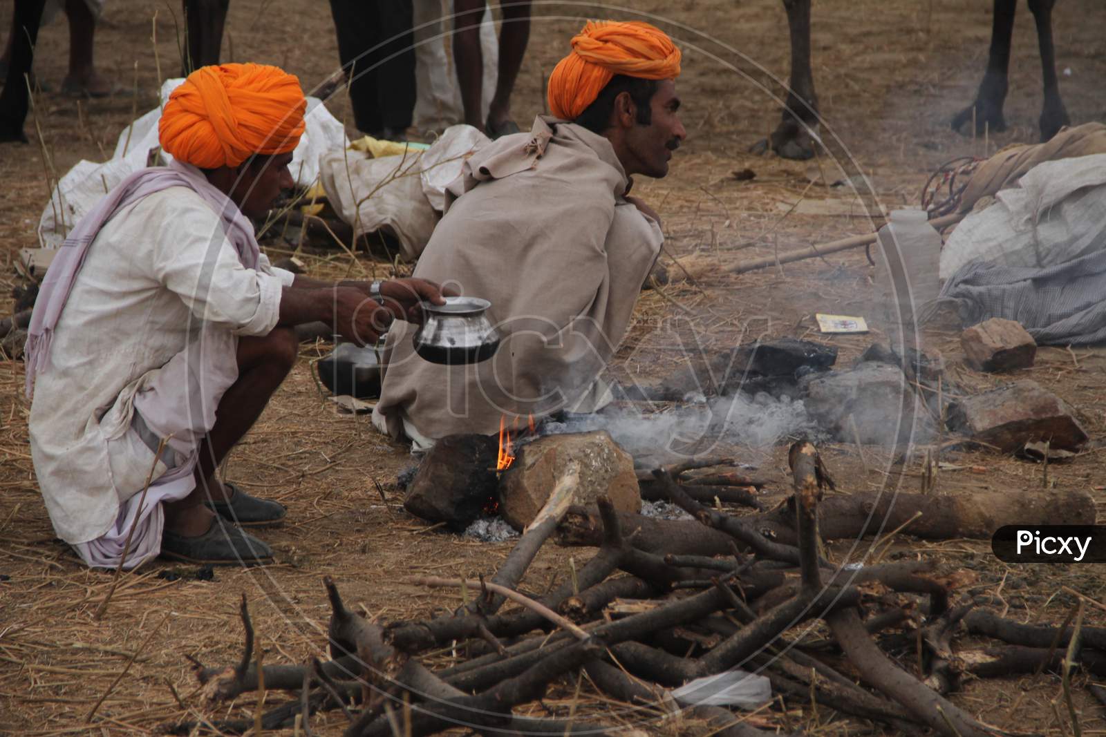 Camel Traders Cooking At Pushkar Camel Fair, Pushkar