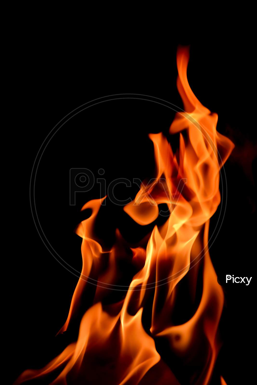 Close-up shot of the fire on black background