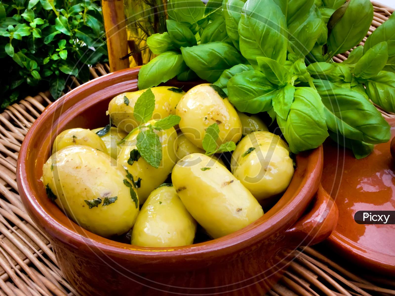 Boiled potatoes in oil and mint