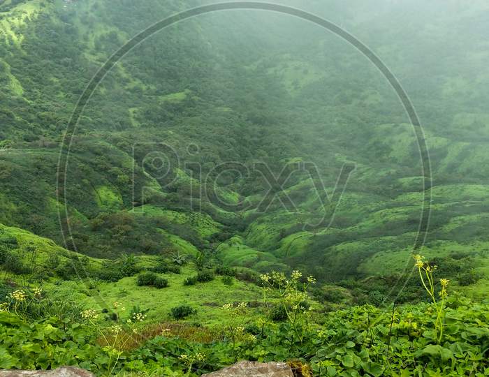 Green valley of sinhagad