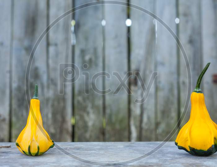 Close Up Of A Two Yellow-Green Zucchini