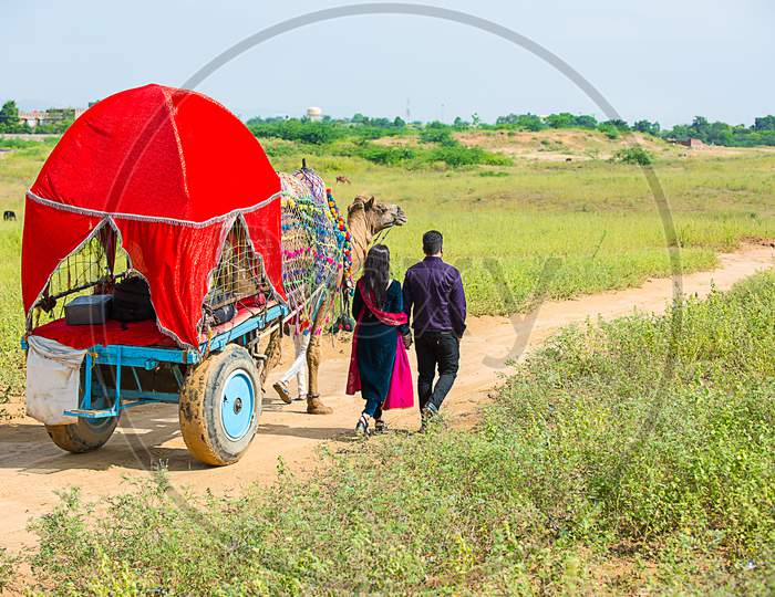 Indian Couple Walking Along With Decorated Colorful Camel Cart At Pushkar Camel Fair.