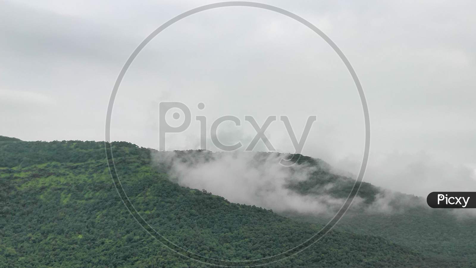 Green mountains with fog