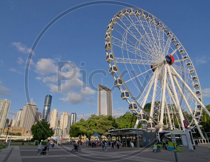 View Of The Wheel Of Brisbane And City Skyline