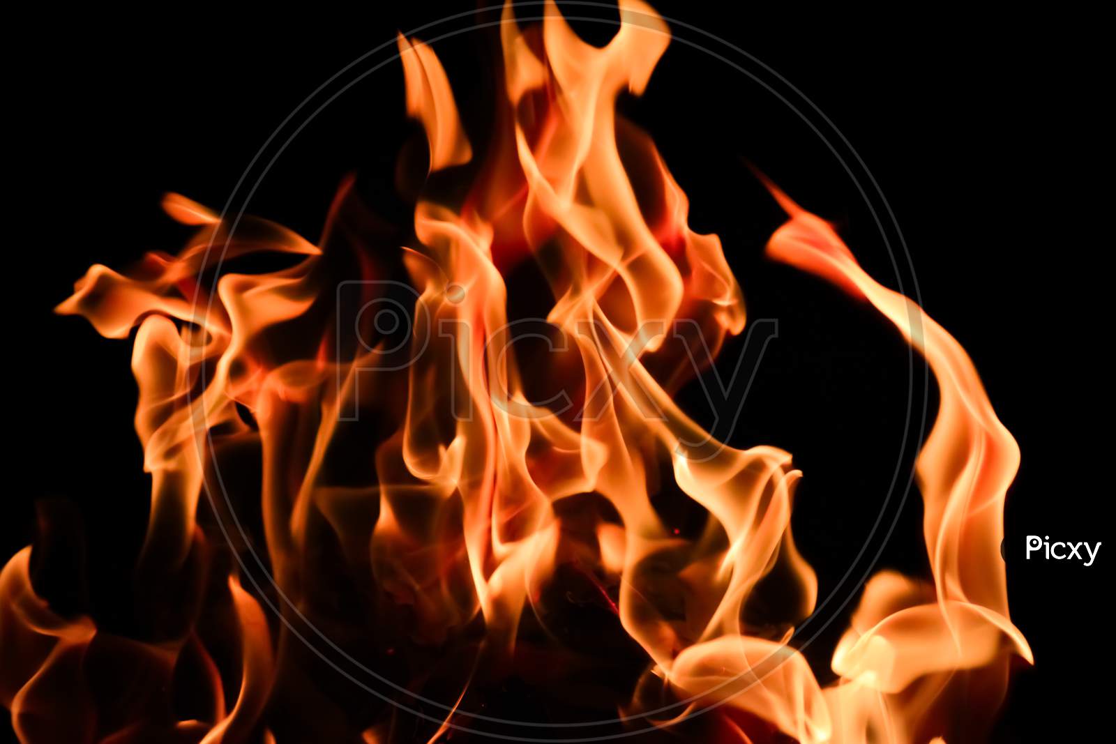 Close-up shot of the fire on black background