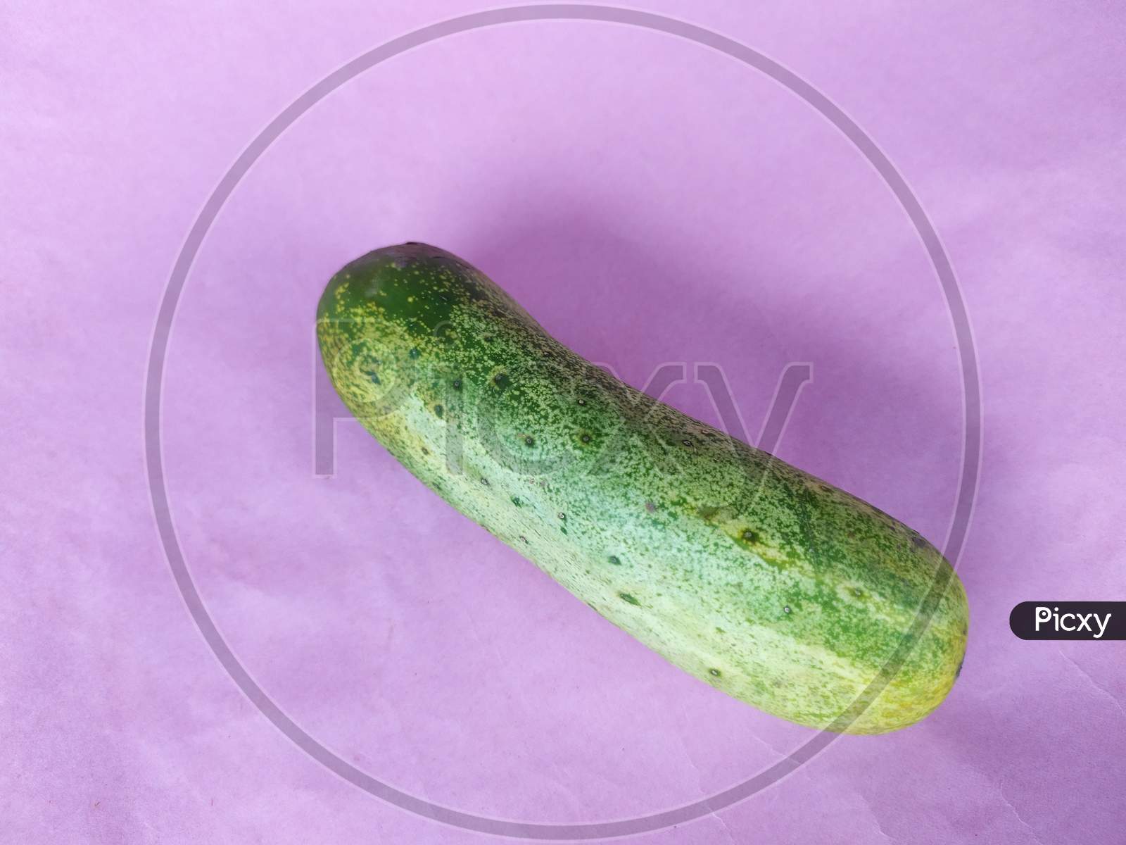 Cucumber on colour background.