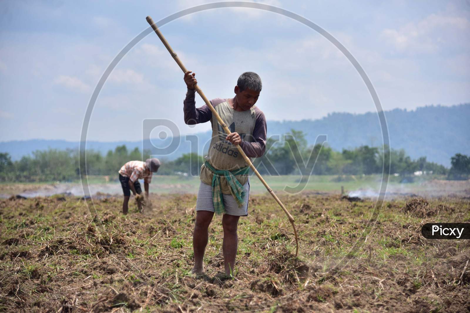 Farmers Prepare A Paddy Field During Nationwide Lockdown Amidst Coronavirus Or COVID-19 Pandemic At Dharamtul In Morigaon District Of Assam On May 2, 2020