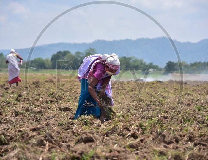 Farmers Prepare A Paddy Field During Nationwide Lockdown Amidst Coronavirus Or COVID-19 Pandemic At Dharamtul In Morigaon District Of Assam On May 2, 2020