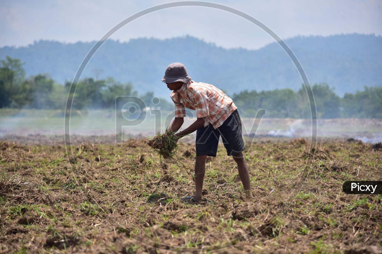 A Farmer Prepares A Paddy Field During Nationwide Lockdown Amidst Coronavirus Or COVID-19 Pandemic At Dharamtul In Morigaon District Of Assam On May 2, 2020