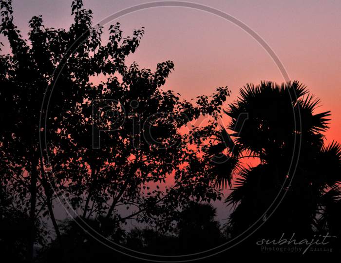 Silhouette Image Of Trees In The Foreground With Reddish Sky During Sunset