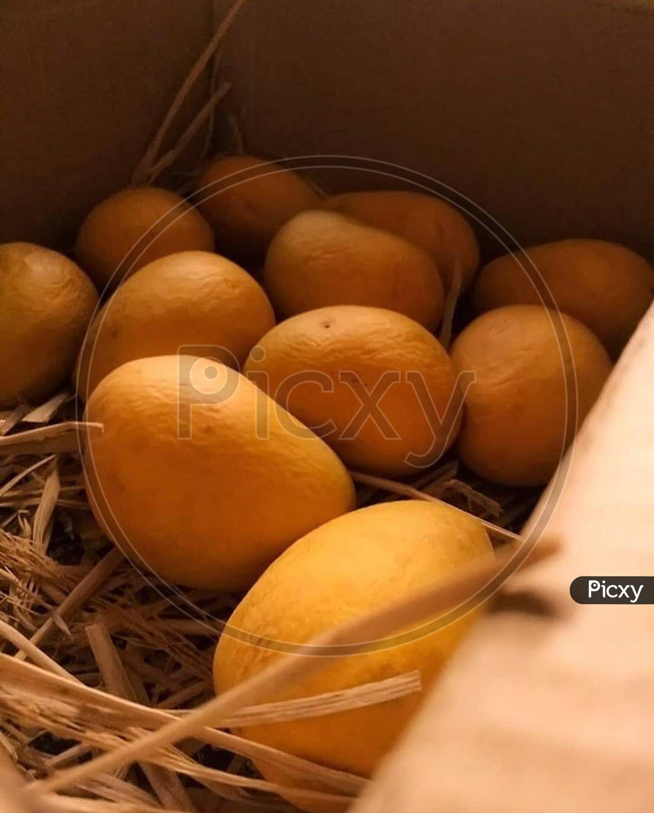 Pur breed of alphanjos mango