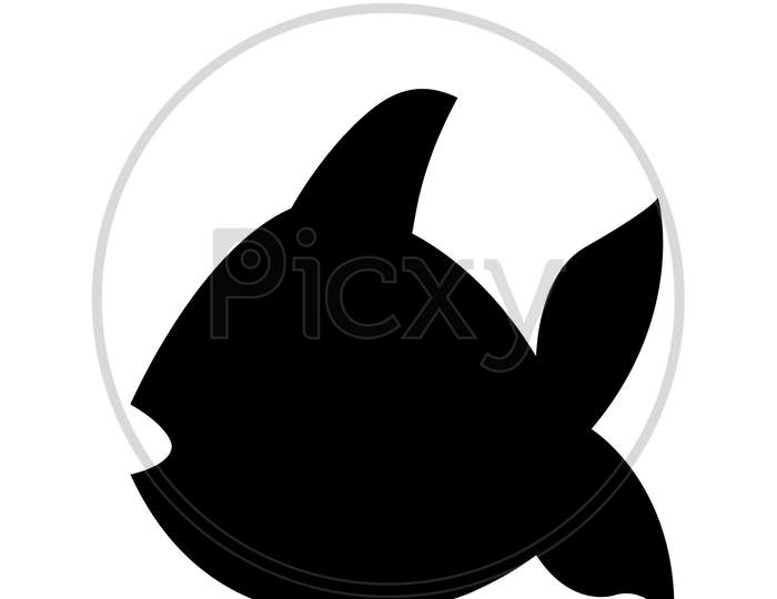 Illustration of shark.