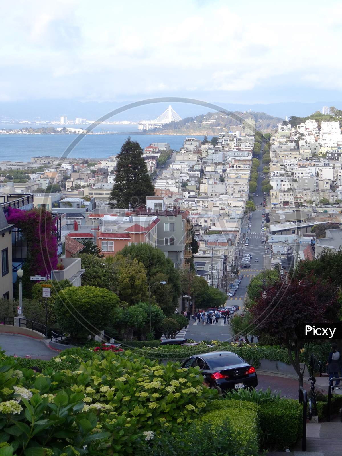 Panoramic View From Lombard Street In San Francisco