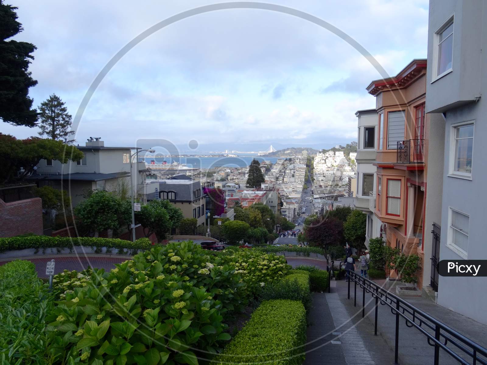 Panoramic View From Lombard Street In San Francisco