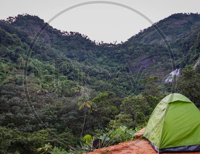 Forest Camping Solo With Green Forest