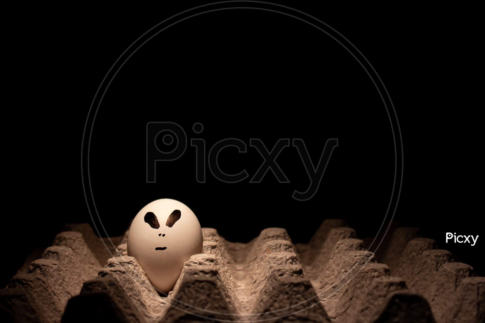 Egg With Funny Face. Egg Made Icon. Conceptual Image
