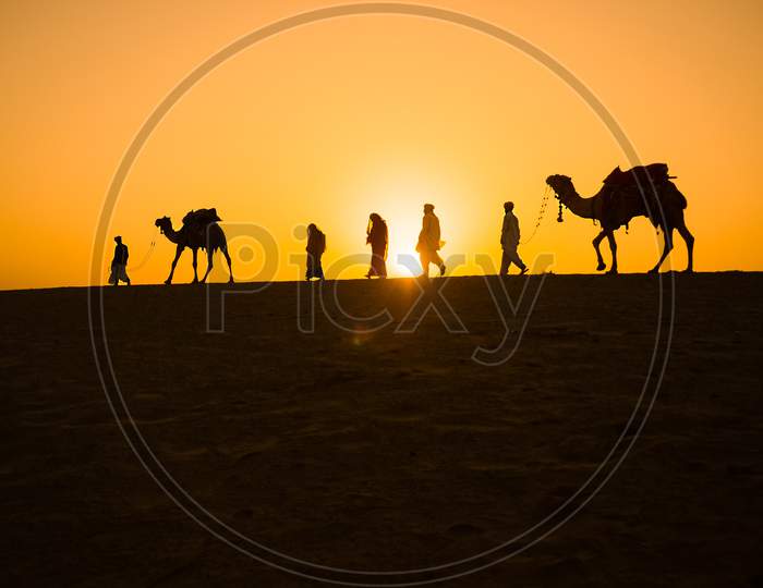 Rajasthan Travel Background - Indian Cameleers (Camel Drivers) With Camels Silhouettes In Dunes Of Thar Desert On Sunset. Jaisalmer, Rajasthan, India