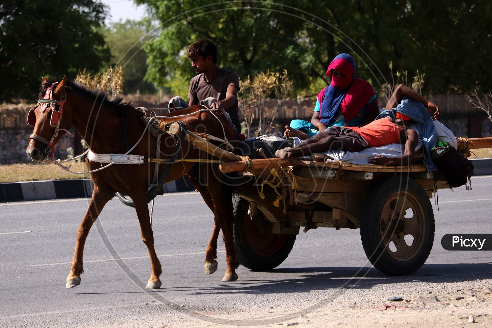 Migrants travel On a Horse Cart During Extended Nationwide Lockdown Amidst Coronavirus or COVID-19 Pandemic  In Ajmer On May 19, 2020