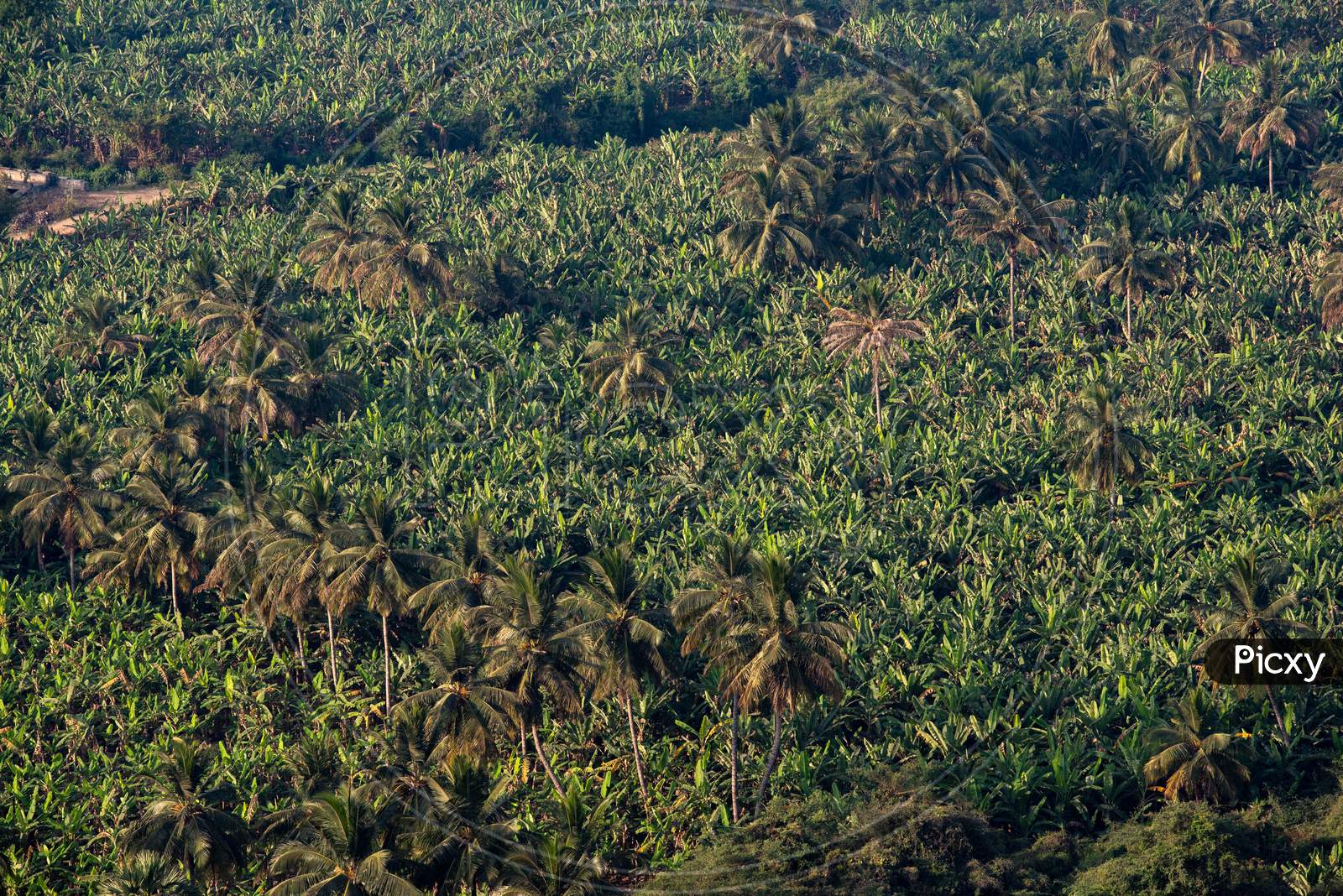 Aerial View of Agriculture Fields in Hampi
