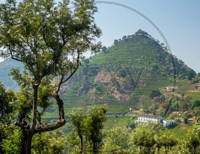 Homes In The Foothills Of Western Ghat With Tee Garden