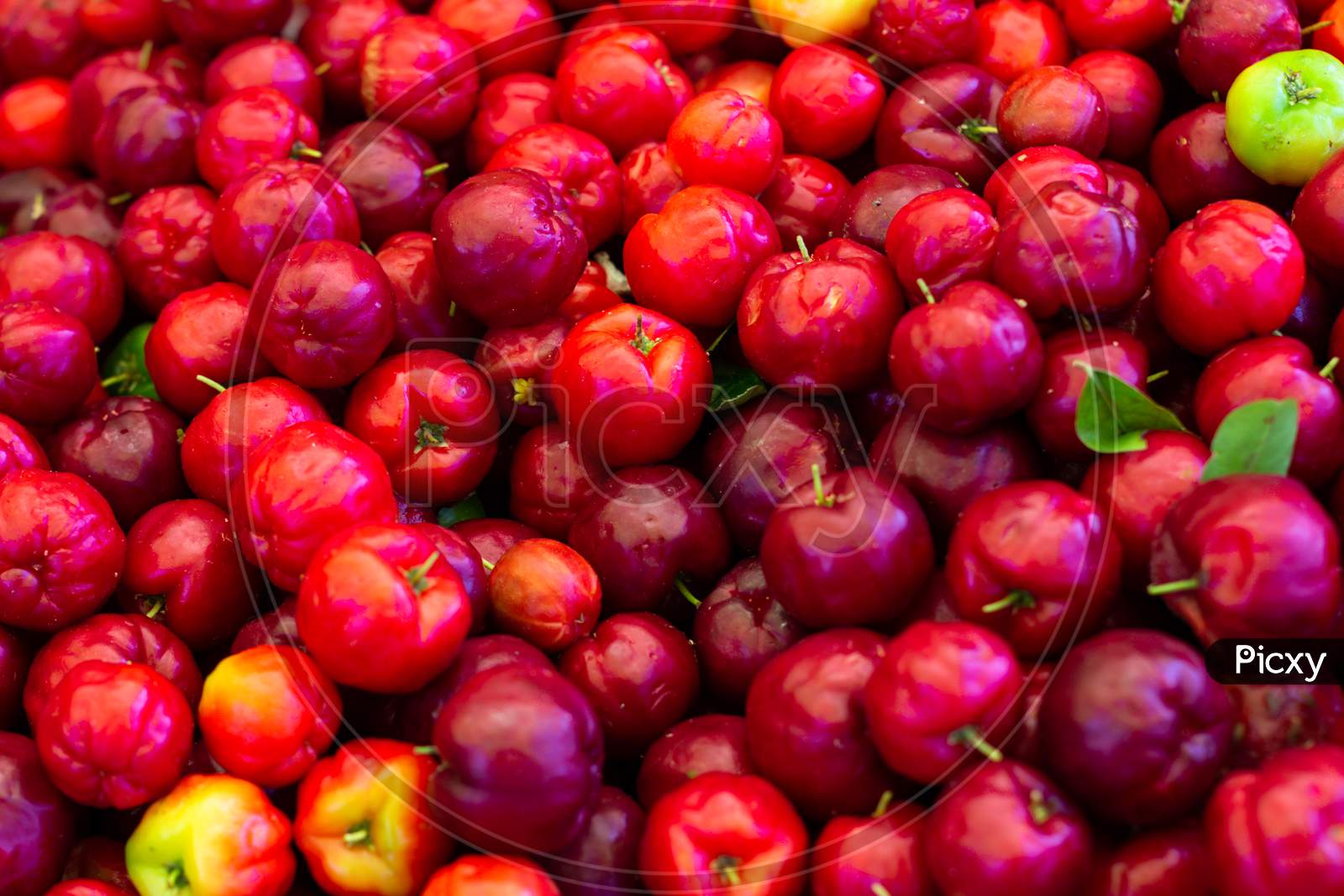 Numerous Cherries In The Market. Fresh Fruits Of The Tropic. Some Colorful Sweet And Sour Fruits.