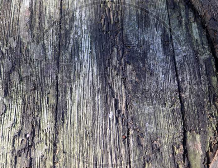 Image of Beautiful weathered and aged wood surfaces with a stunning ...