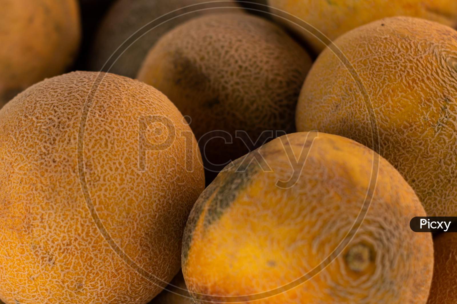 Yellow Rind Melons. Fresh Tropical Fruit.