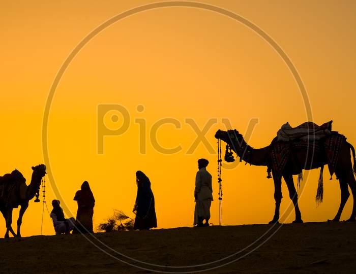 Jaisalmer, Rajasthan, India - April 18Th, 2018: Indian Cameleers (Camel Drivers) With Camels Silhouettes In Dunes Of Thar Desert On Sunset.