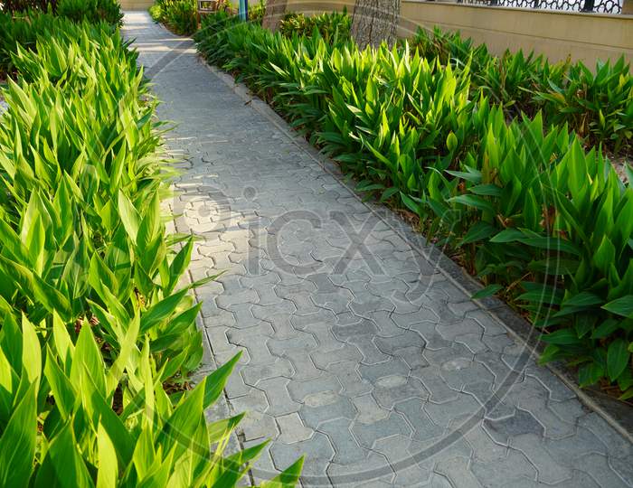 Scenic View Of Landscaped Path With Plants And Stones In Yard. Backyard Of Residential House. Stone Pedestrian Sidewalk Going Into The Distance Among Landscaping In Home Garden. Concrete Pavement.