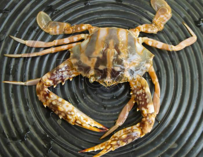 Crab seafood in indian market