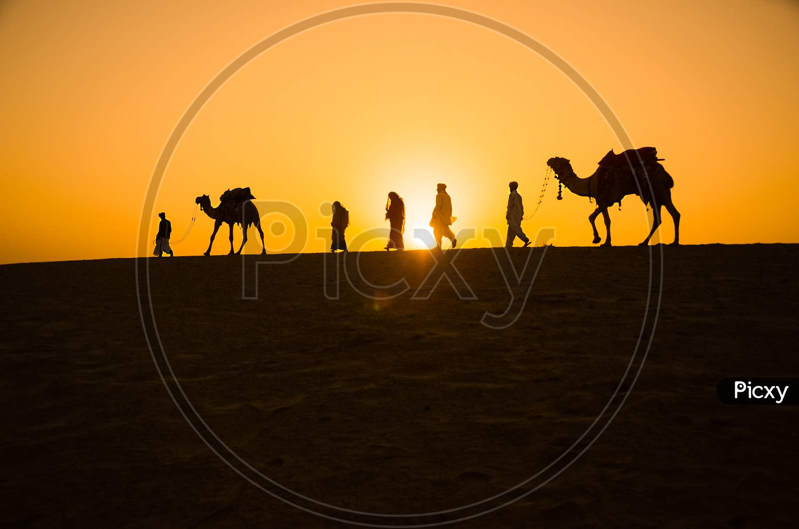 Rajasthan Travel Background - Indian Cameleers (Camel Drivers) With Camels Silhouettes In Dunes Of Thar Desert On Sunset. Jaisalmer, Rajasthan, India