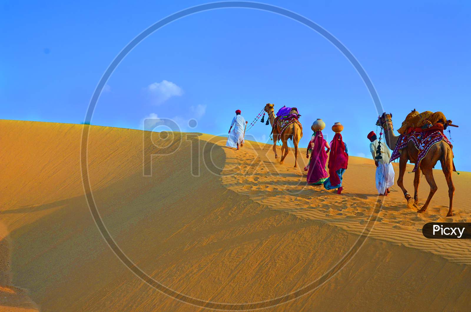 Two Cameleers And Women With Camels Walking On Sand Dunes Of Thar Desert Against Blue Sky , Jaisalmer, Rajasthan, India