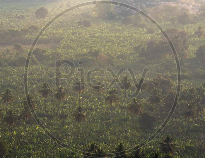 Aerial View of Agriculture Fields in Hampi