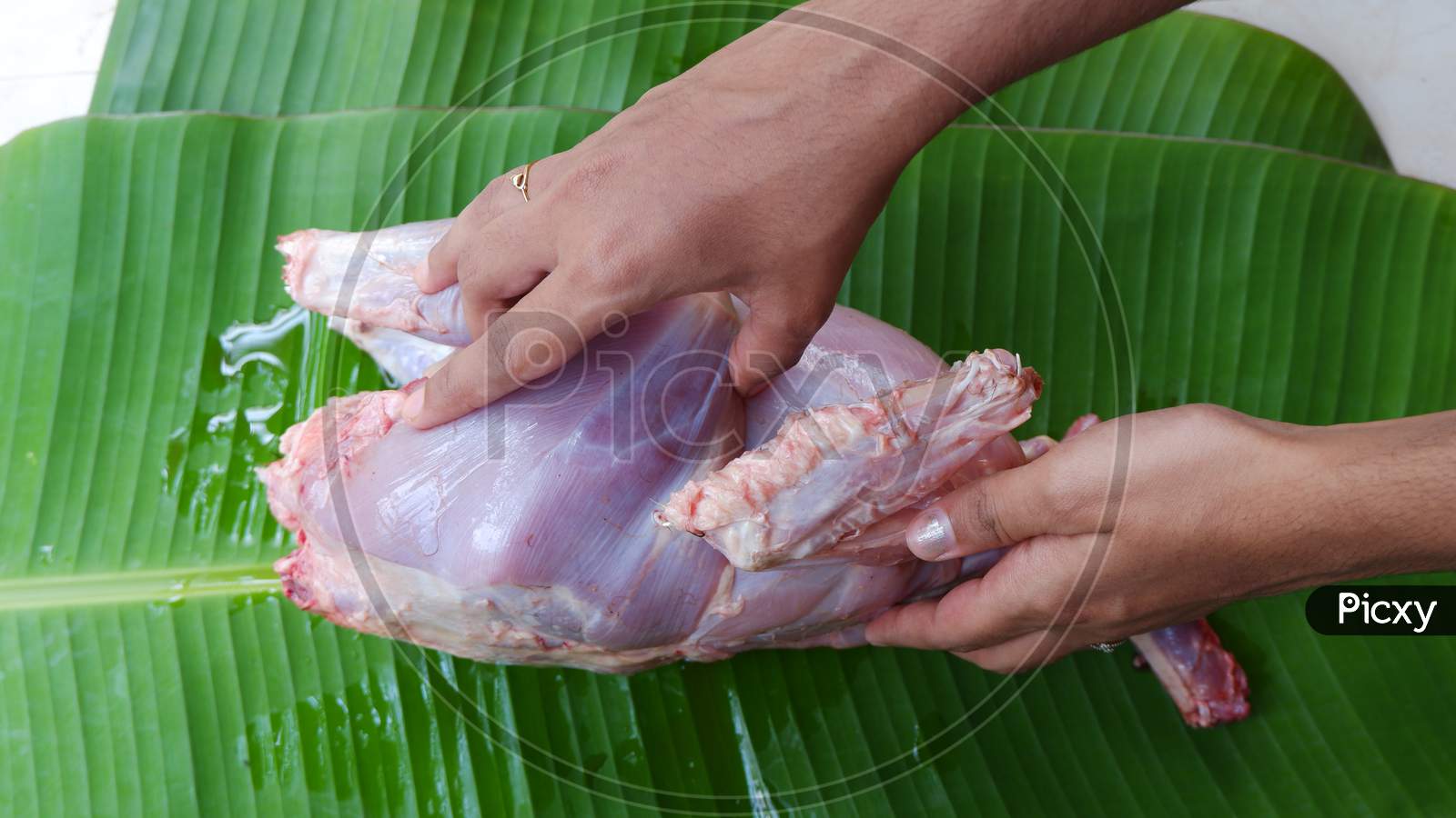 fresh full chicken meat cleaning by lady hand  , banana leaf ,ready to cook,raw chicken