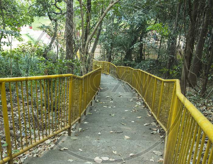 Canopy walk bridge