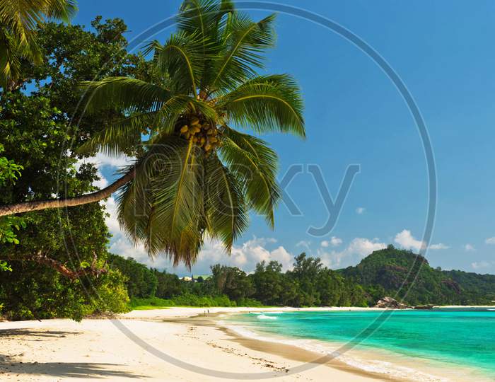 Beautiful pictures of Seychelles