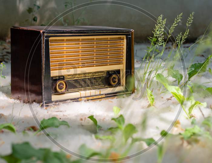 A Vintage Radio Surrounded By Pollen And Green Leaves In The Countryside
