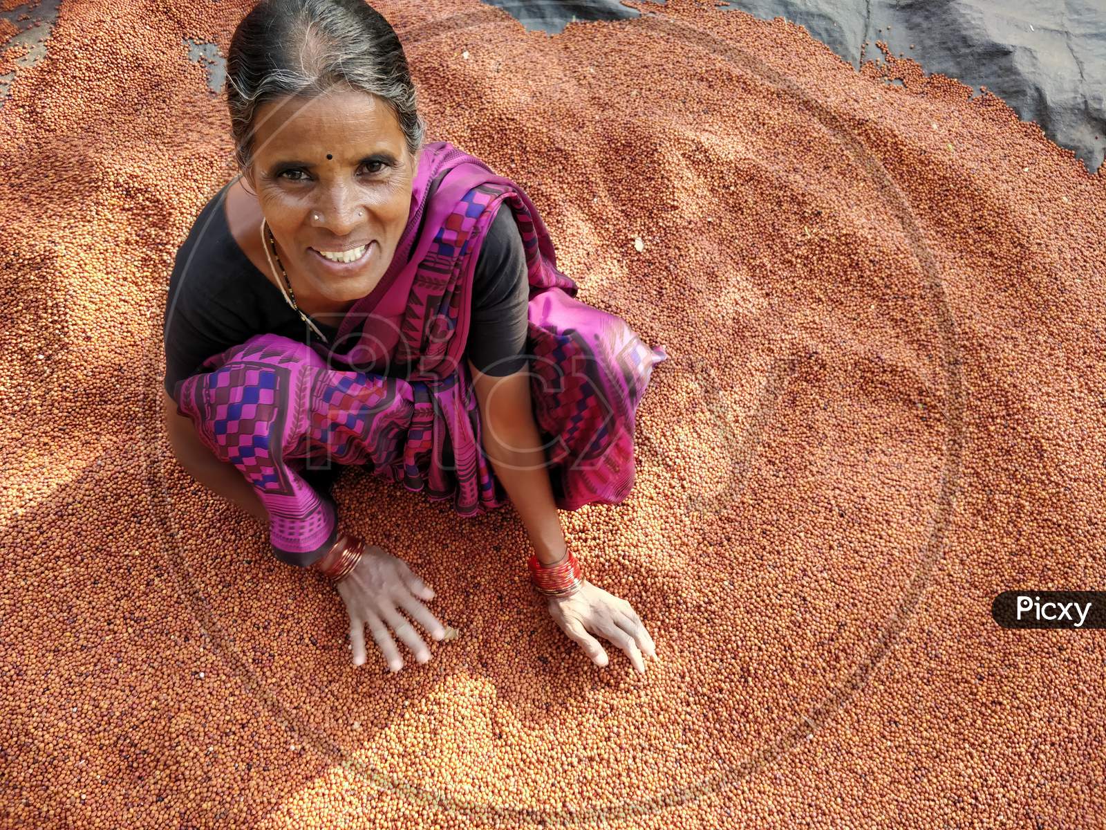 Women farmers arranging millet grains