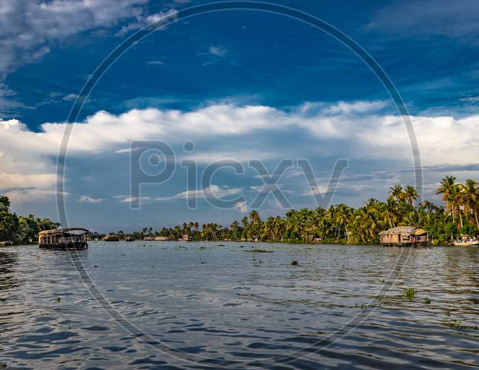 Backwater View With Blue Sky And Palm Tree