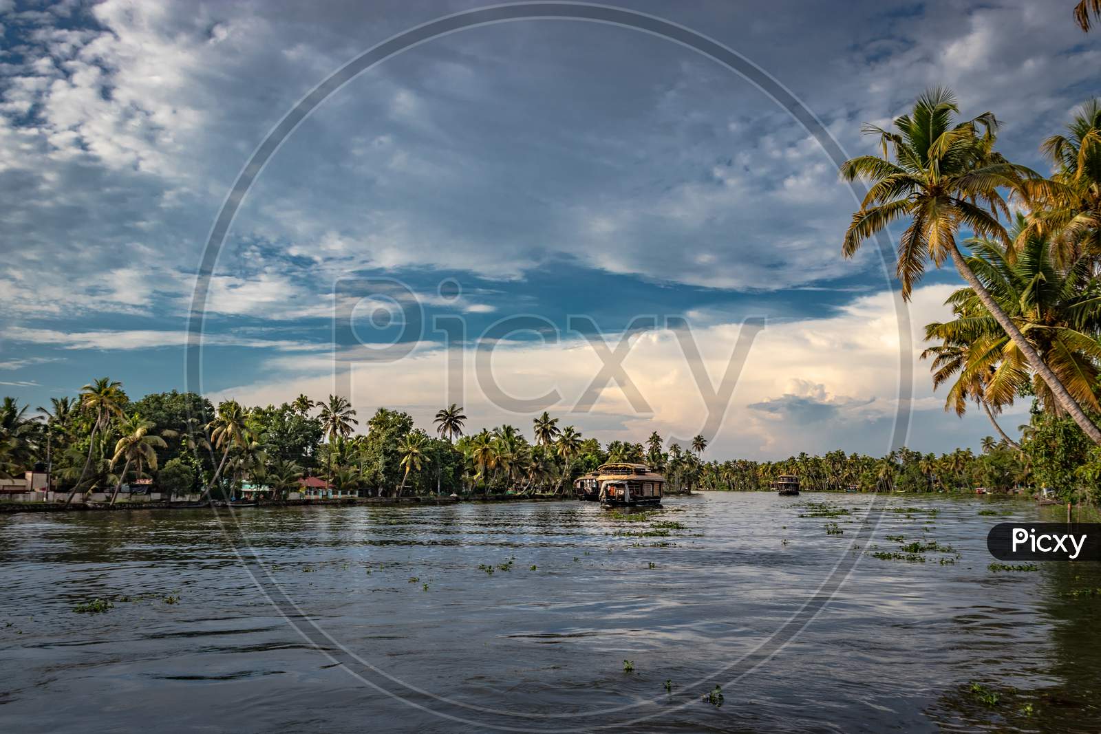 Houseboat In Backwater With Sky And Palm Tree