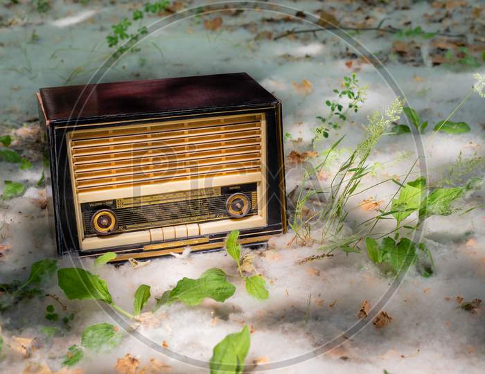 A Vintage Radio Surrounded By Pollen And Green Leaves In The Countryside